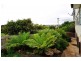 67 Belton Street, Burnie TAS 7320