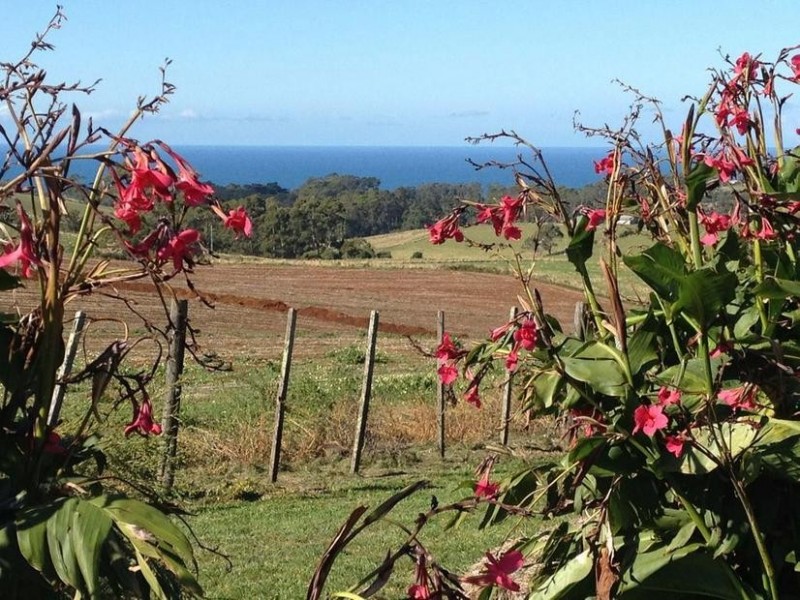 332 Seabrook Road, Somerset TAS 7322