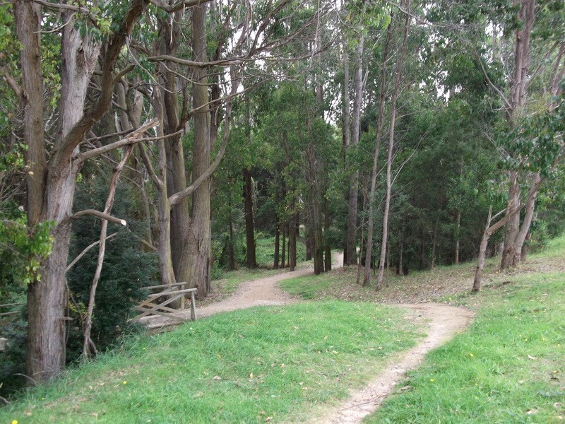 8 Dowling Drive, Burnie TAS 7320