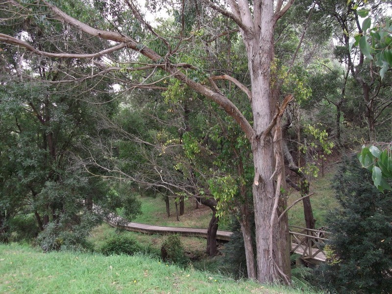 8 Dowling Drive, Burnie TAS 7320