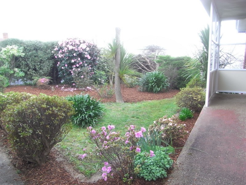 41 Paraka Street, Burnie TAS 7320