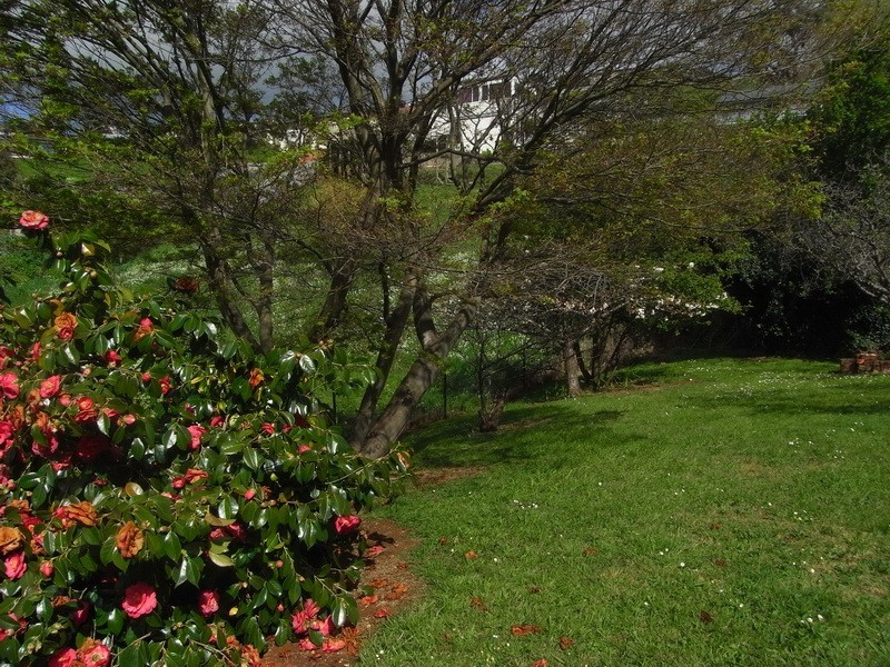 46 Cunningham Street, Burnie TAS 7320