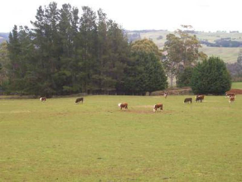 637 Camena Road, Penguin TAS 7316