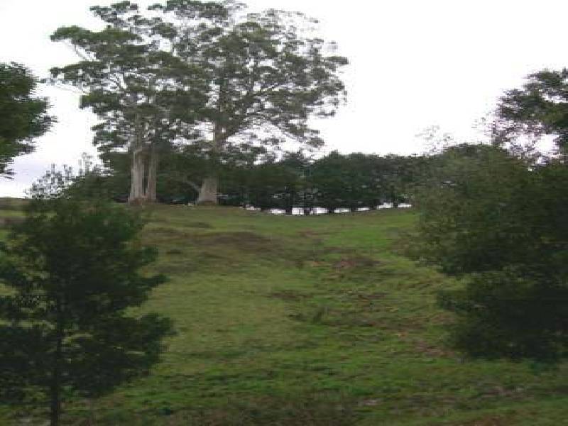 637 Camena Road, Penguin TAS 7316