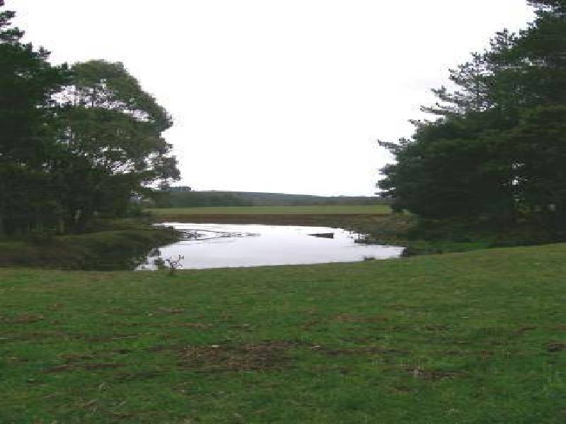 637 Camena Road, Penguin TAS 7316