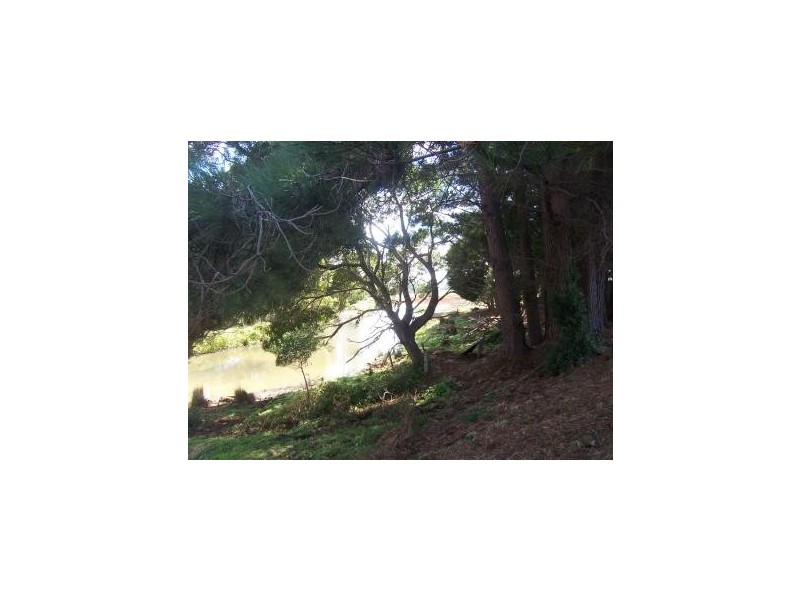 637 Camena Road, Penguin TAS 7316