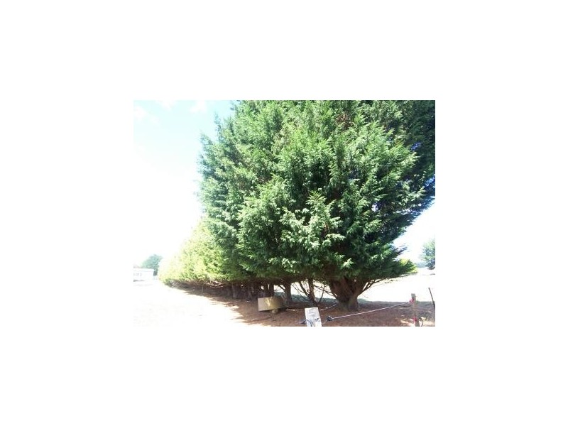 637 Camena Road, Penguin TAS 7316