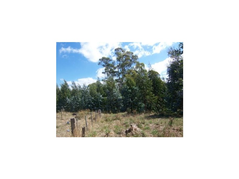 637 Camena Road, Penguin TAS 7316