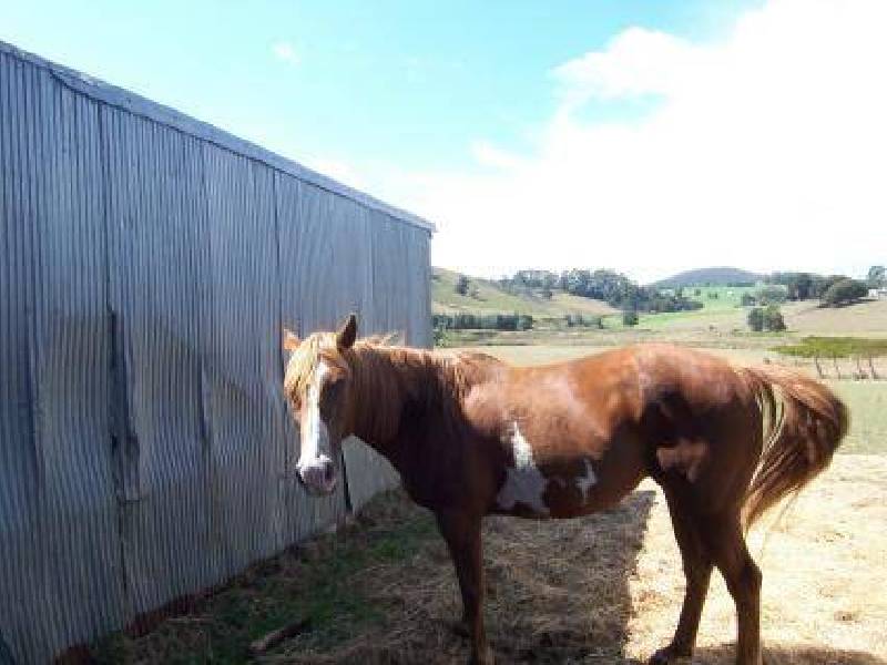 1649 Pine Road, South Riana TAS 7316