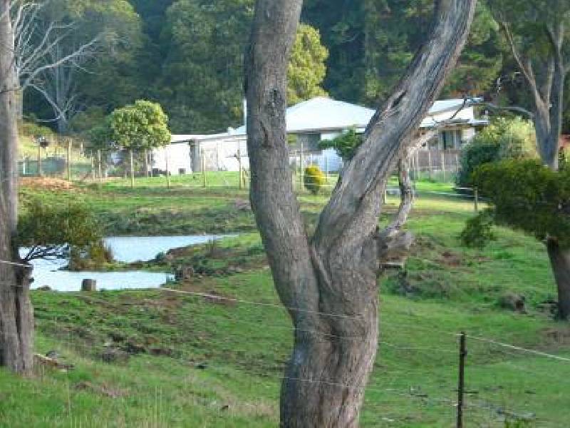 225 Lowries Road, Oldina TAS 7325