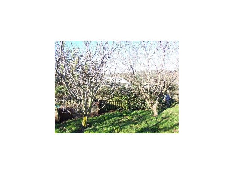 Myrtle Crescent, Burnie TAS 7320