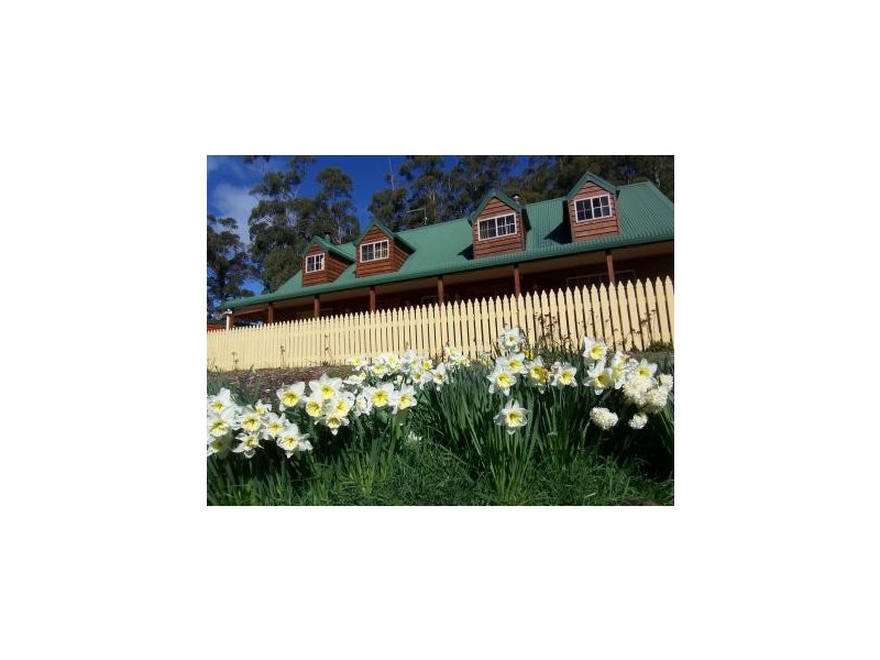 130 White Hills Road, Penguin TAS 7316