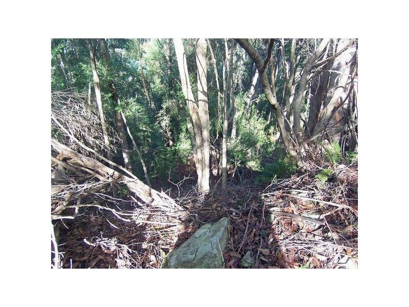 3 Ellis Road, Burnie TAS 7320