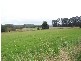 429 Ridgley Highway, Burnie TAS 7320