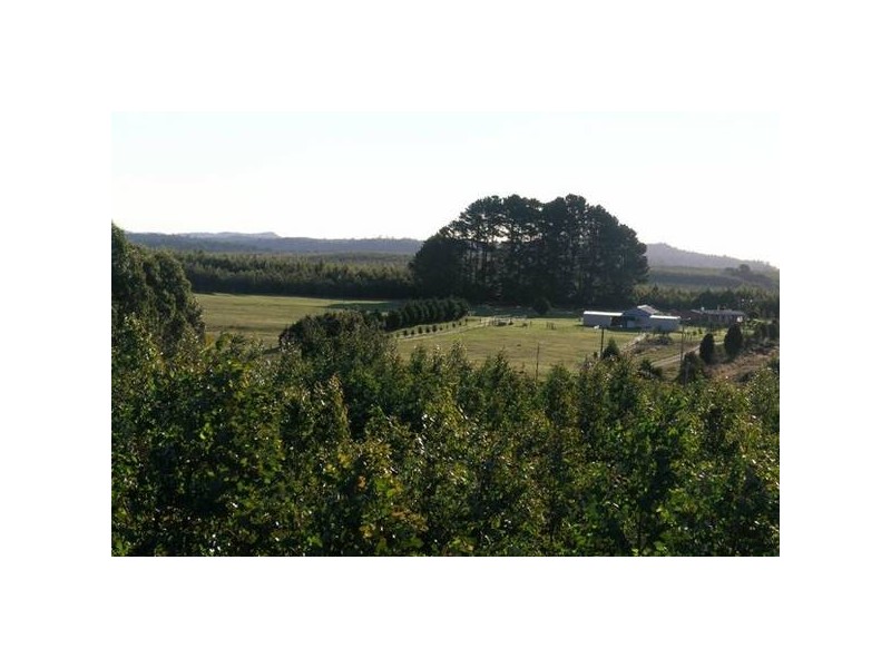 189 Pinners Road, Yolla TAS 7325