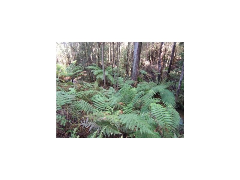 294 Upper Stowport Road, Stowport TAS 7321