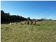294 Upper Stowport Road, Stowport TAS 7321