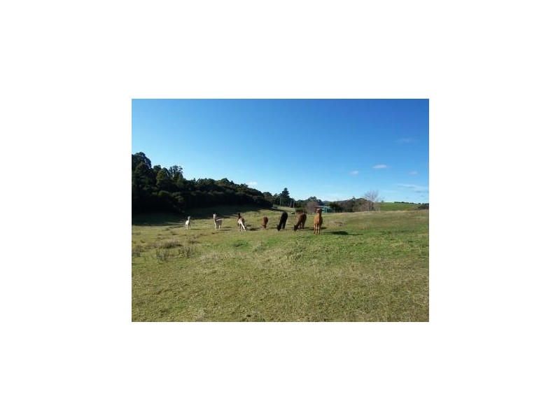 294 Upper Stowport Road, Stowport TAS 7321