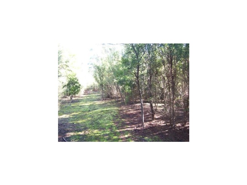 294 Upper Stowport Road, Stowport TAS 7321