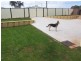 3 Roslyn Avenue, Burnie TAS 7320