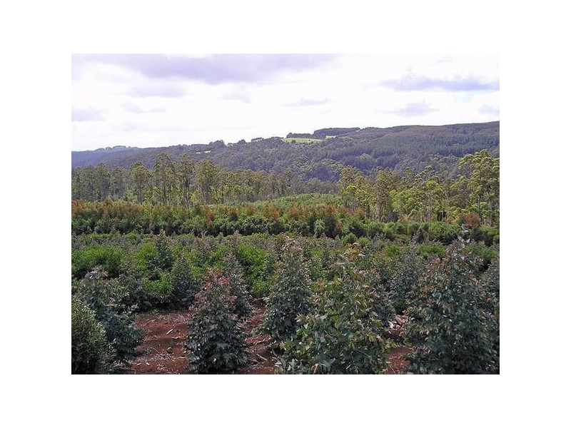 1 West Calder Road, Wynyard TAS 7325