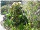 360 Preservation Drive, Sulphur Creek TAS 7316
