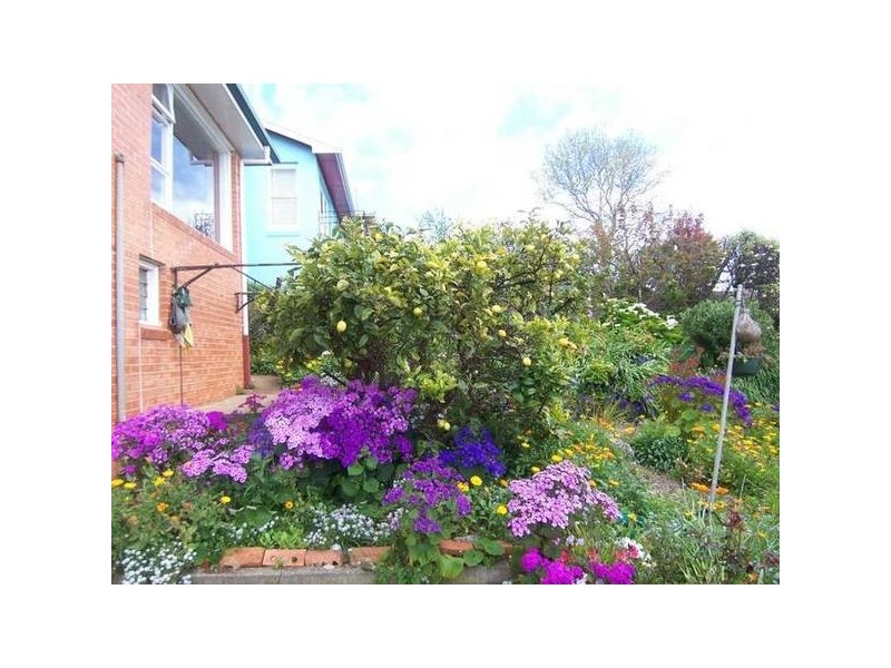 6 Tolunah Street, Burnie TAS 7320