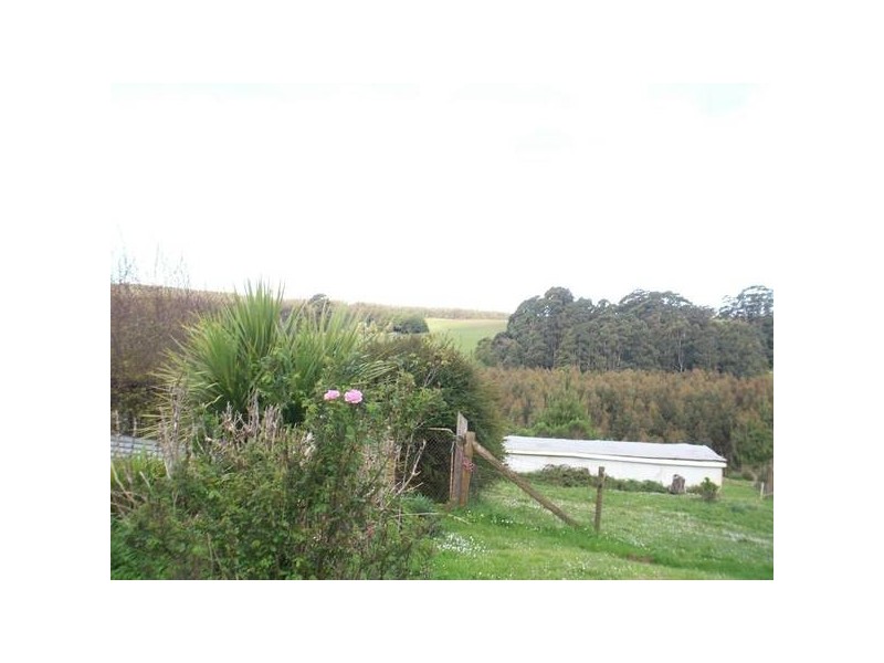 65 Buggs Lane, Elliott TAS 7325