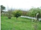 65 Buggs Lane, Elliott TAS 7325