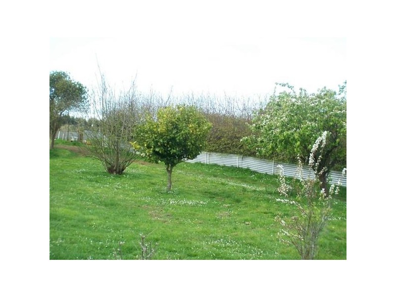 65 Buggs Lane, Elliott TAS 7325