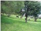 65 Buggs Lane, Elliott TAS 7325