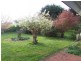 65 Buggs Lane, Elliott TAS 7325