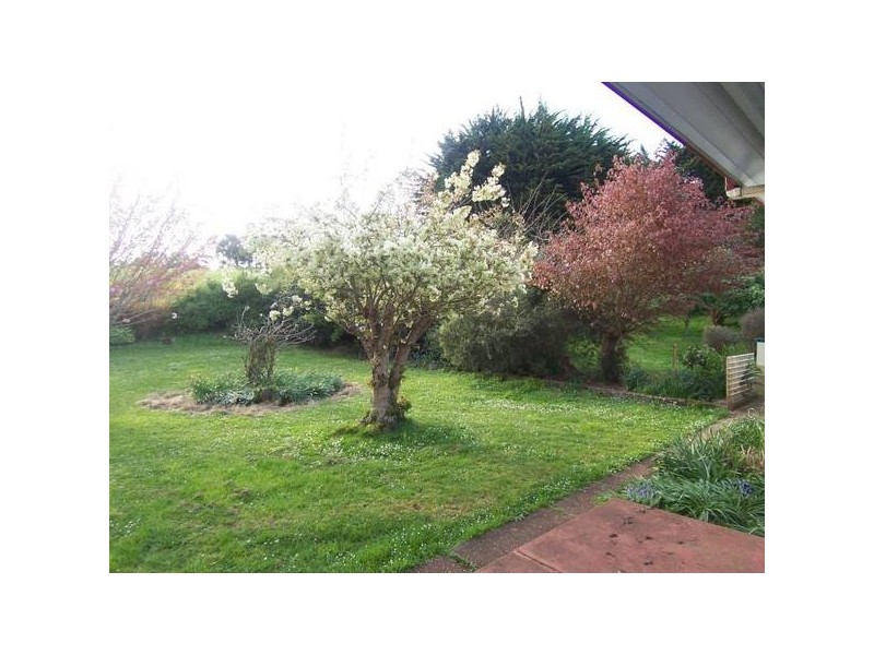 65 Buggs Lane, Elliott TAS 7325