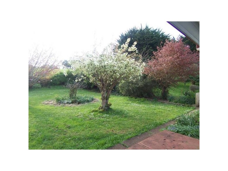 65 Buggs Lane, Elliott TAS 7325