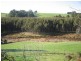 65 Buggs Lane, Elliott TAS 7325