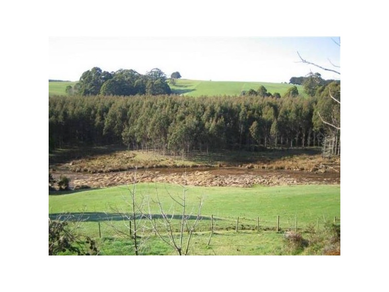 65 Buggs Lane, Elliott TAS 7325