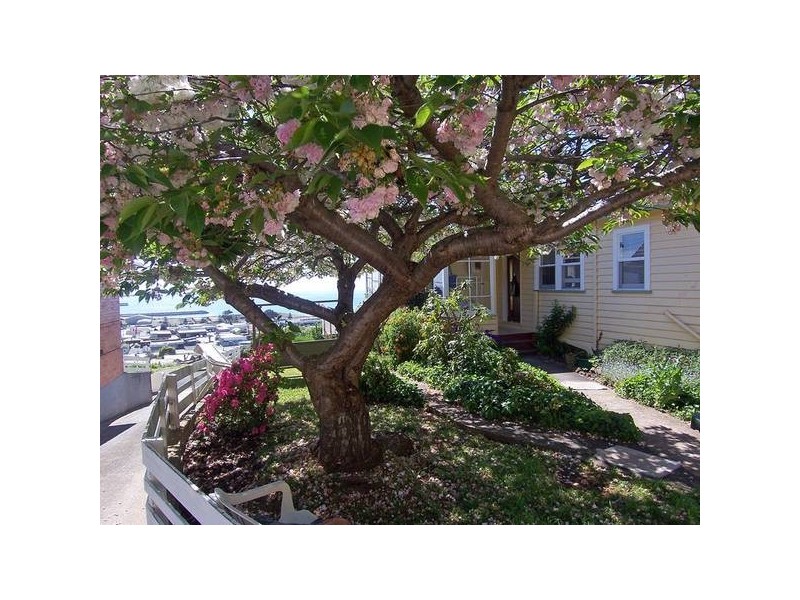 38 Wyatt Crescent, Burnie TAS 7320