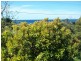358 Preservation Drive, Sulphur Creek TAS 7316