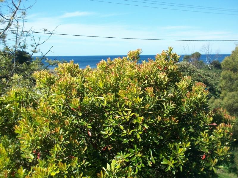 358 Preservation Drive, Sulphur Creek TAS 7316