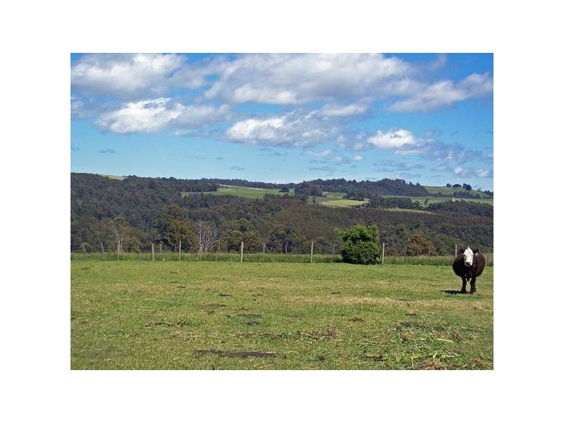 141 Village Lane, Somerset TAS 7322