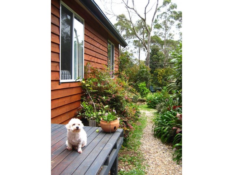 2208 Springbrook Road, Springbrook QLD 4213