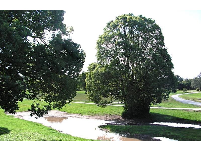 14 Cosmos Court, Elanora QLD 4221