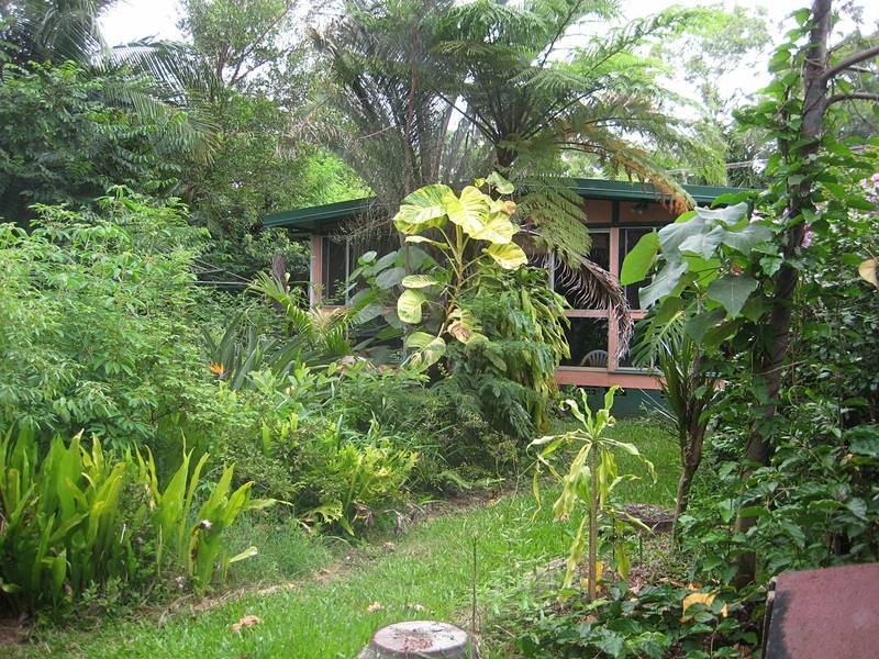 7 Waikiki Avenue, Palm Beach QLD 4221