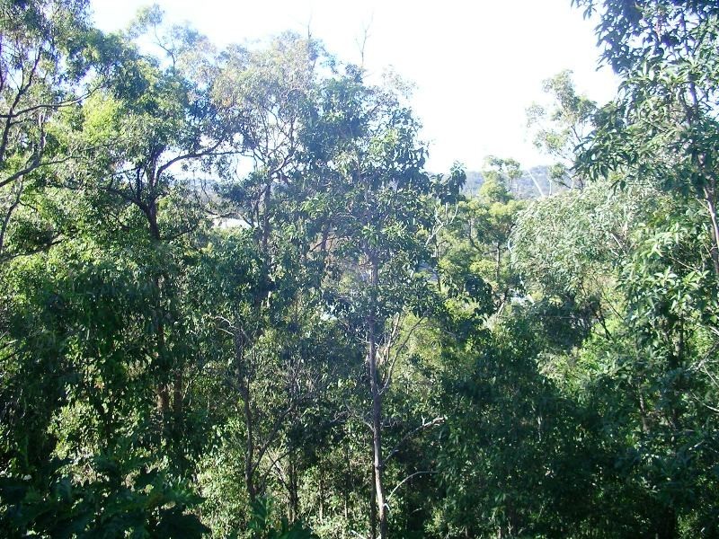 19 Fenton Drive, Tallebudgera QLD 4228