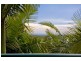 84 Blamey Drive, Currumbin QLD 4223