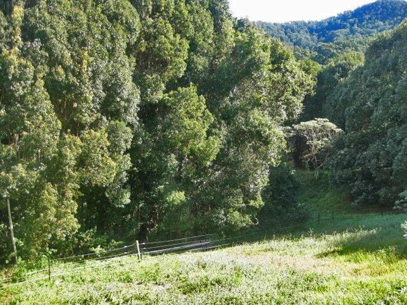 6A Yarra Court, Tallebudgera Valley QLD 4228