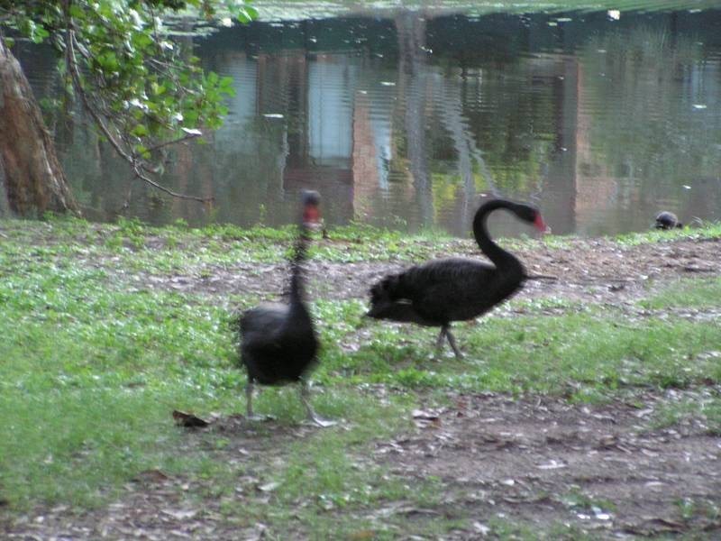 23/527 Gold Coast Highway, Tugun QLD 4224