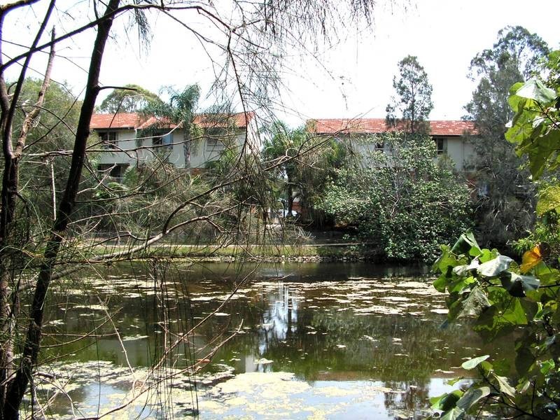 23/527 Gold Coast Highway, Tugun QLD 4224