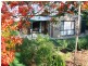 357 Trees Road, Tallebudgera QLD 4228