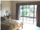 357 Trees Road, Tallebudgera QLD 4228
